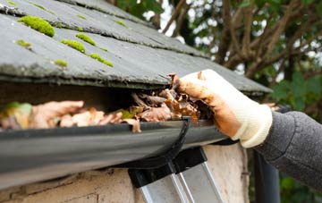 gutter cleaning Swanbridge, The Vale Of Glamorgan